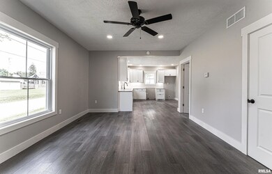 302 Willard Ave, Lincoln, IL 62656 - photo 3