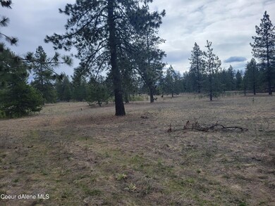 NNA N Williams Ln, Athol, ID 83801 - photo 4