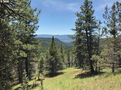 0 Bear Creek Elk unit 20026010, Prairie City, OR 97869 - photo 2
