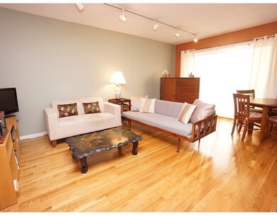 29 Custer St unit 306, Jamaica Plain, MA 02130 - photo 4