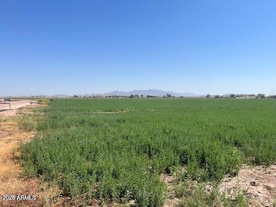 20250204192706860032000000-o