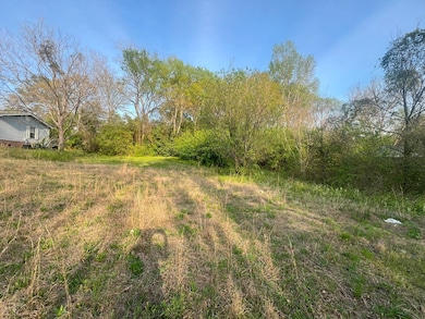 0 11th Ave S, Phenix City, AL 36869 - photo 2