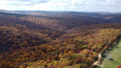 000 TBD Madison 3440, Kingston, AR 72742 - photo 3