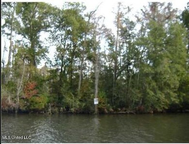Lot 4 Dewfran Island, Moss Point, MS 39562 - photo 4