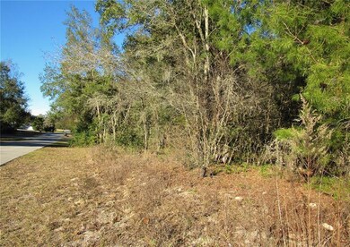 This Property Is Located On SW 204th Court in Established Community, Lovely Rainbow's End Estates In Dunnellon, Florida! Elevated 1/2 AC (0.46). Call for Referred Builders in this Area.