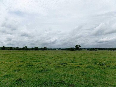 Land.