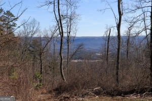 0 Puddin Ridge Rd, Flat Rock, AL 35966 - photo 6