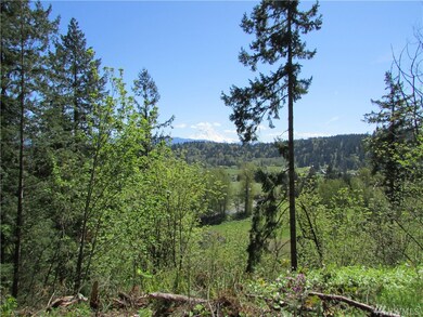 23820 S Prairie Rd E, Buckley, WA 98321 - photo 4