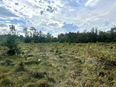 5048 Smokethorn Trail, Belvidere, IL 61008 - photo 6