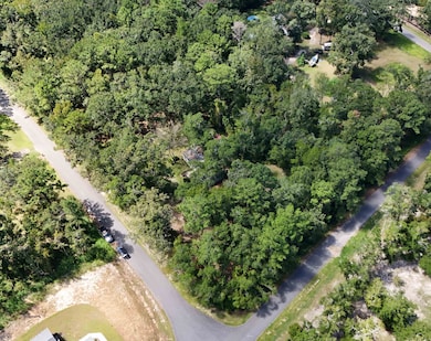 40 Westview Ln, Monticello, FL 32344 - photo 3