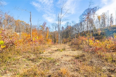 0 Hambel Rd, Union Township, OH 43758 - photo 7