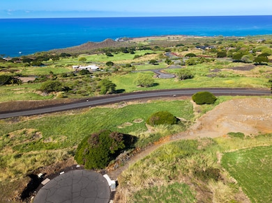 81-465 Piialii Way, Kealakekua, HI 96750 - photo 2