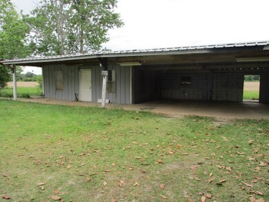 2176 Buttercup Ln, Pelham, GA 31779 - photo 6