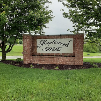 815 E Twin Maple Ct, Nixa, MO 65714 - photo 5