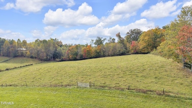 000 Matson Rd, Jonesborough, TN 37659 - photo 7