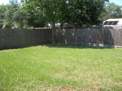Back Yard 4