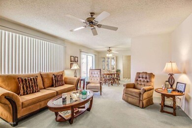 Furniture Can Be Purchased