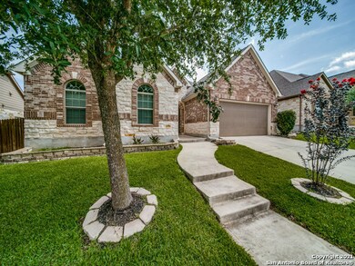 25935 Natal Plum, San Antonio, TX 78261 - photo 2