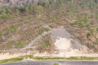 135 Beagle Chase Dr, Appling, GA 30802 - photo 3