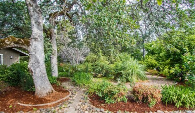 Front-Yard-B