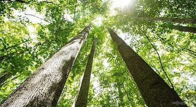 Lot #9 Seven Springs Way, Denver, NC 28037 - photo 3