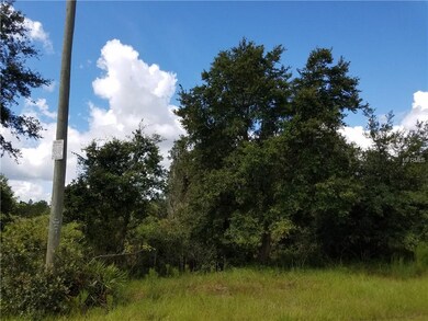 Beginning of Property - Right of Telephone Pole