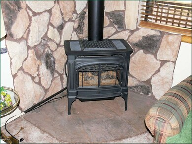 Fireplace gas