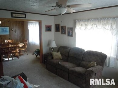 1016 Clinton St, Lincoln, IL 62656 - photo 3
