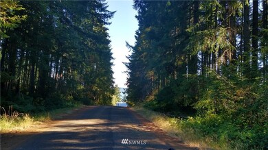 looking down 112th Ave to Oro Bay.