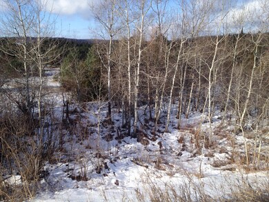 0 Elkland Dr unit 294275, Vanderbilt, MI 49795 - photo 5