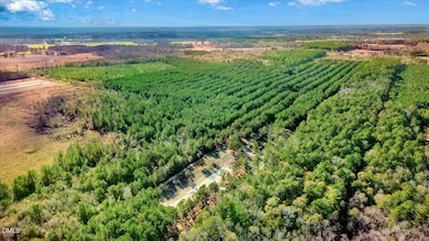 2310 Devils Racetrack Rd, Four Oaks, NC 27524 - photo 3