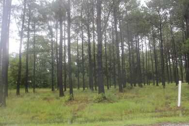 View of nature