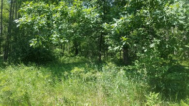 v/L W 17 Mile Rd, Lilley Township, MI 49309 - photo 3