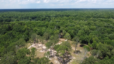 474 River Bluff Trail, Saint Stephen, SC 29479 - photo 7