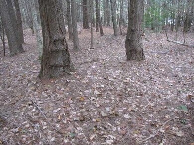 Land/Lot.