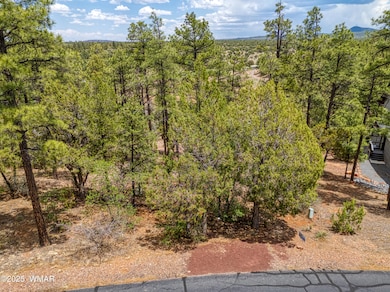 DJI_20250609124459_0454_D_AuroraHDR2019-