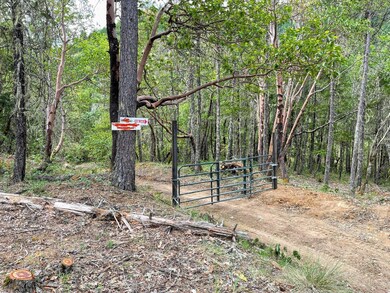 38.62 Granite Hill Rd, Grants Pass, OR 97526 - photo 2