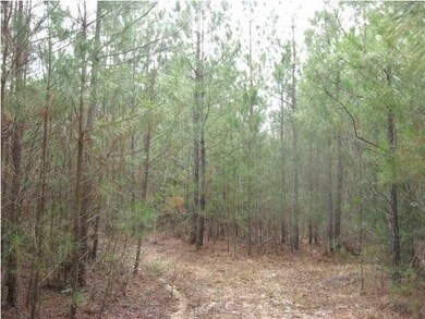 LOTS OF TRAILS FOR FOUR WHELLERS