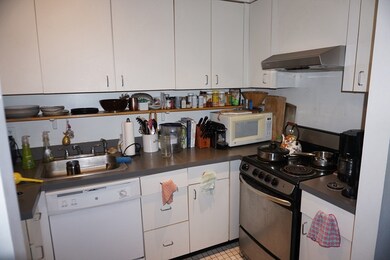 18 E Springfield St unit 1, Boston, MA 02118 - photo 4