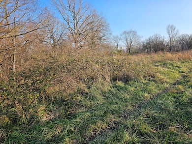 000-9 Ac Hobbs Rd, Anderson, MO 64831 - photo 6