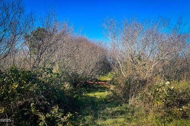 VINGIE CREEK (4)