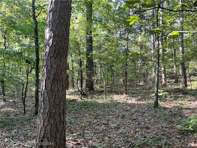 2021 Goats Bluff Rd, Wister, OK 74966 - photo 6