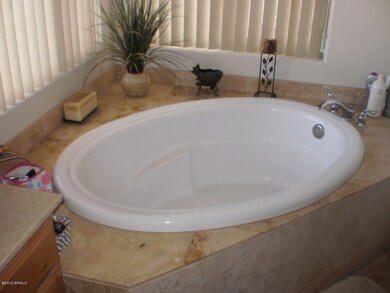Master Bath Tub with Stone Surround