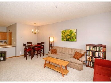 1010 108th Ln NW, Coon Rapids, MN 55433 - photo 4