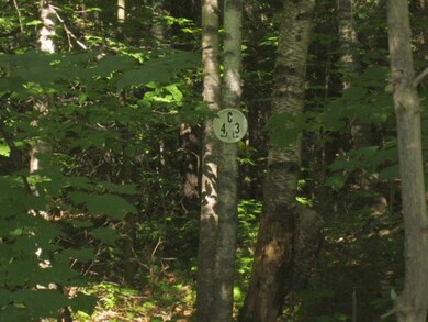 0 Cow Path 40 Lot C4 unit 4510424, Marlboro, VT 05344 - photo 2