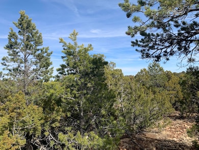 7310 Red Feather Ct, Happy Jack, AZ 86024 - photo 6