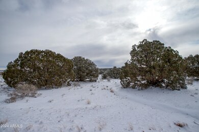 IMG_9035