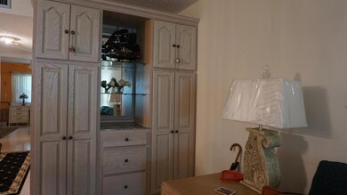 Living Room Built-in