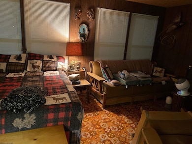 TBD Little Beaver Creek Rd, Bruceton Mills, WV 26525 - photo 7