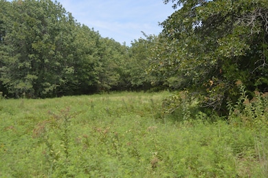 S 4650 Rd, Brushy, OK 74955 - photo 2